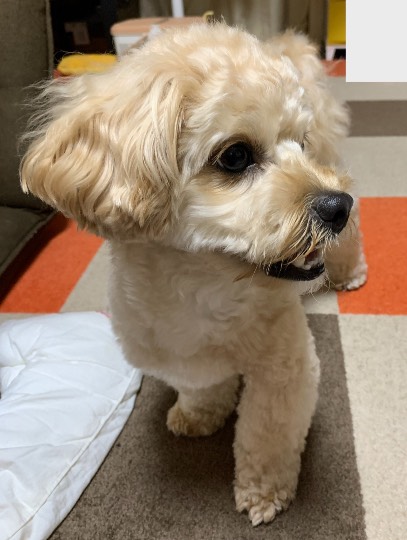 生き物ルーム第45