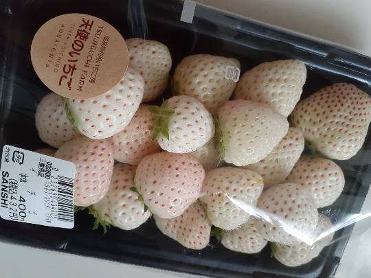 ★ドンキ♡♡ロピア 雑談37★