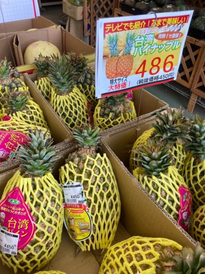 マスク同窓会詰所兼ニューフェイス歓迎所25(笑い場所)