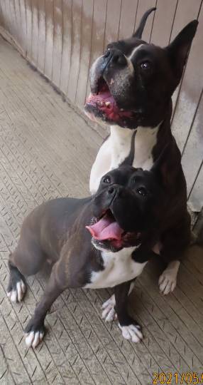 生き物ルーム第44