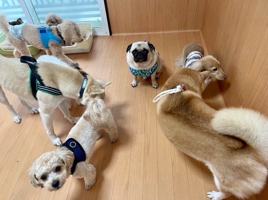 生き物ルーム第45