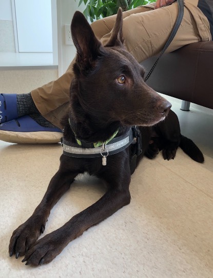 生き物ルーム第45