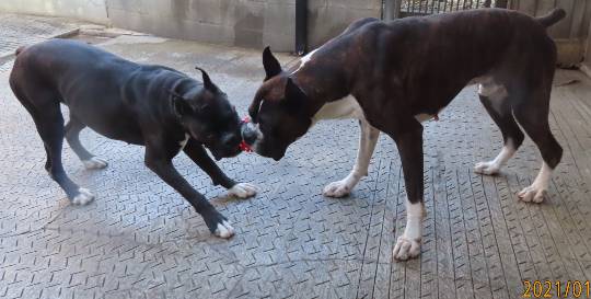 生き物ルーム第45