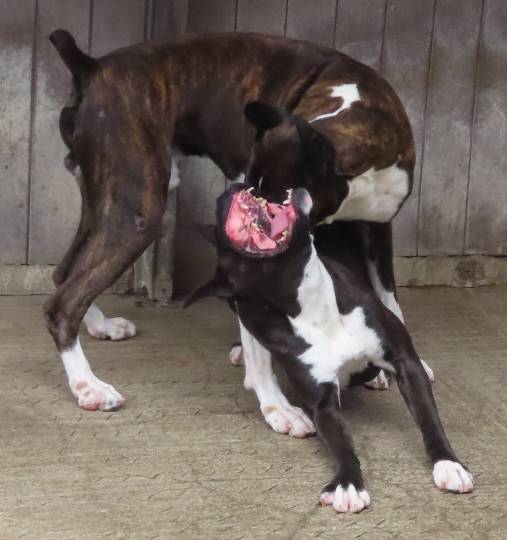 生き物ルーム第45