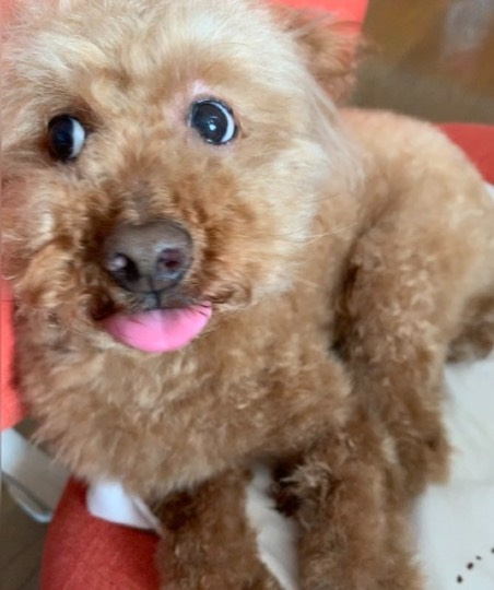 生き物ルーム第44