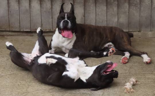 生き物ルーム第45