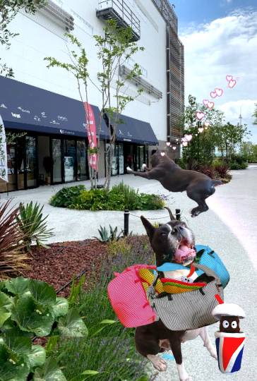 生き物ルーム第45