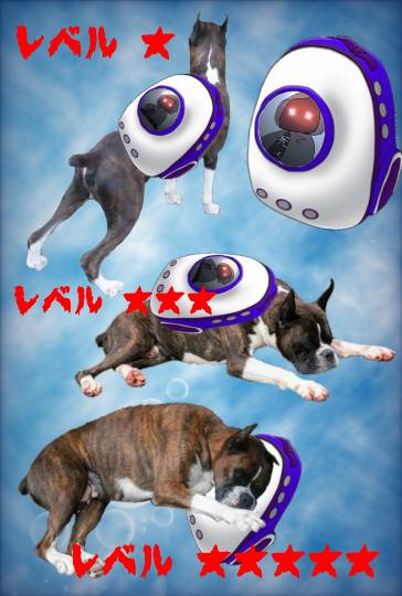 生き物ルーム第44