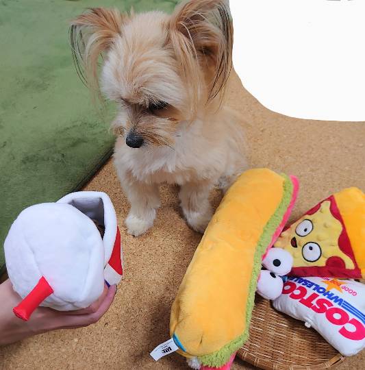 生き物ルーム第45