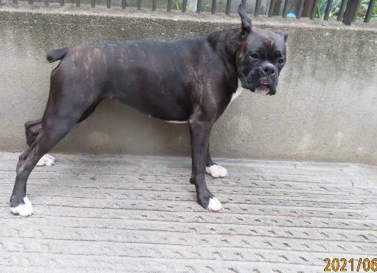 生き物ルーム第45