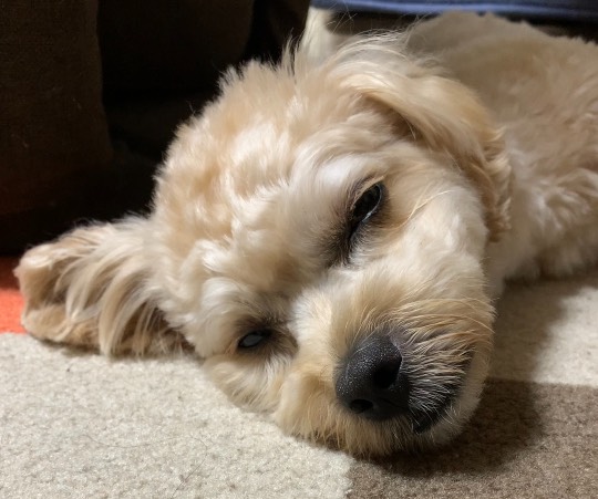 生き物ルーム第45