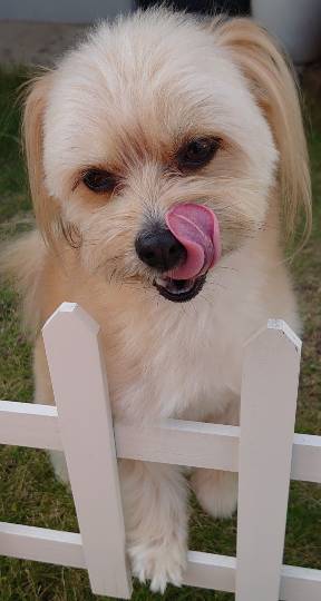 生き物ルーム第45