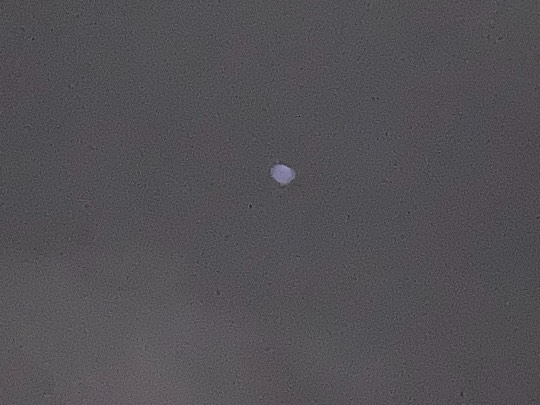 あつまれ‼︎雑談&amp;ゲーム好きの森　season２＃２　ｶｴﾙの歌が聞こえてくるよ〜♪♪