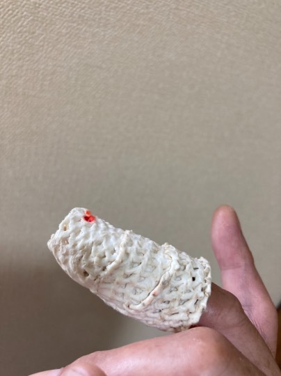 マスク同窓会詰所兼ニューフェイス歓迎所25(笑い場所)