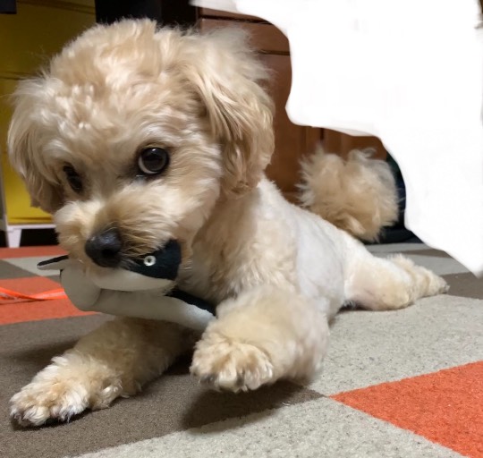 生き物ルーム第45