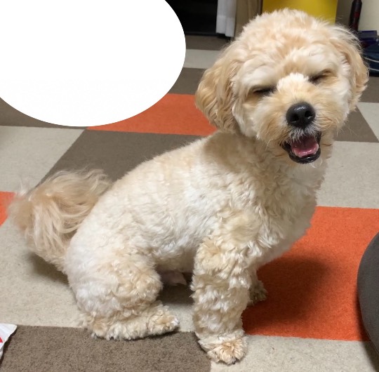 生き物ルーム第45