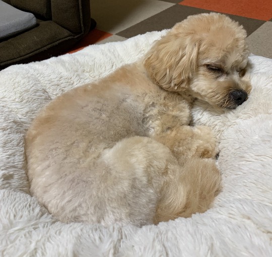 生き物ルーム第45