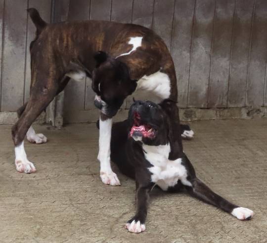 生き物ルーム第45