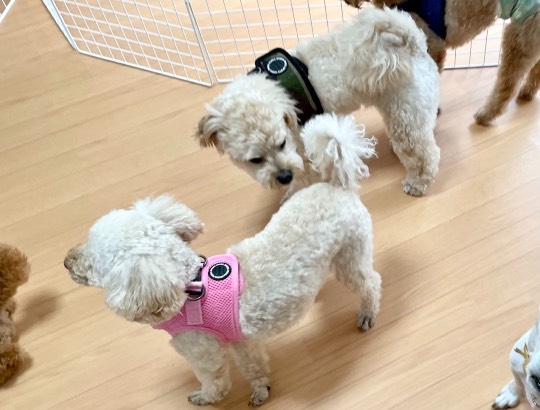 生き物ルーム第45