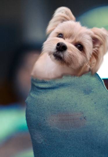 生き物ルーム第44