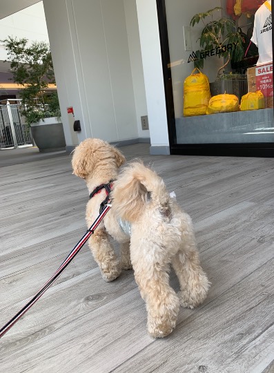 生き物ルーム第45