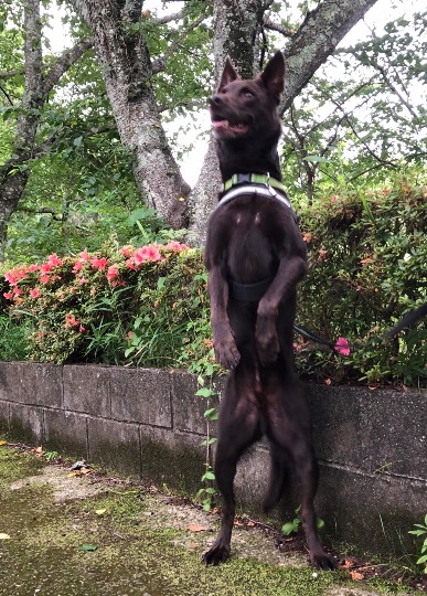 生き物ルーム第45