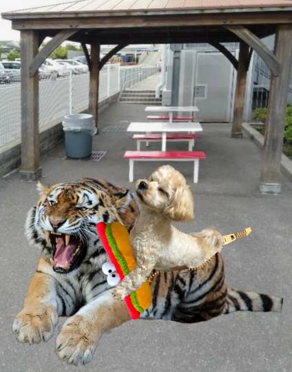 生き物ルーム第45