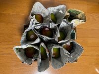 7月19日(月曜日)　和泉倉庫店｜ビルケンシュトック アリゾナのサンダルが...