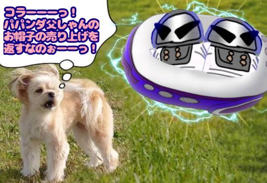 生き物ルーム第46