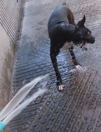 生き物ルーム第47