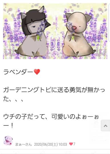 生き物ルーム第46