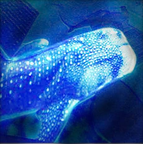 あつまれ‼︎雑談&amp;ゲーム好きの森　season２＃４　笹の葉さ〜らさら〜♪♪