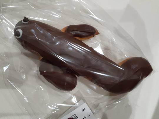 ★ドンキ♡♡ロピア 雑談38★