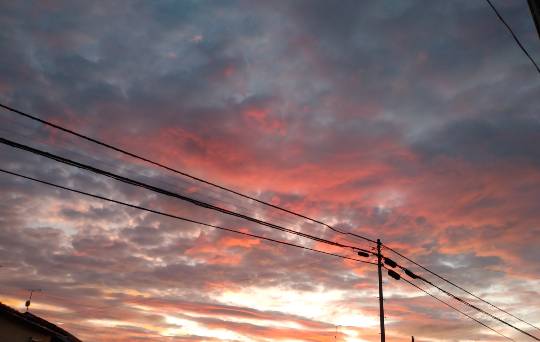 ★ドンキ♡♡ロピア 雑談41★