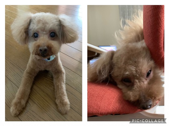 生き物ルーム第47