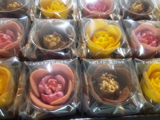 生き物ルーム第46