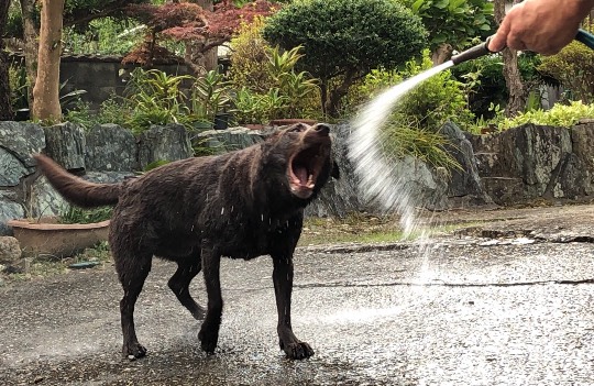 生き物ルーム第47