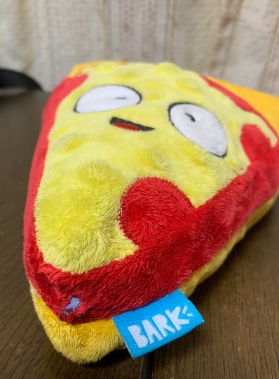 生き物ルーム第46