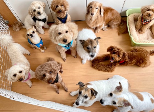 生き物ルーム第46