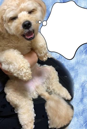 生き物ルーム第46