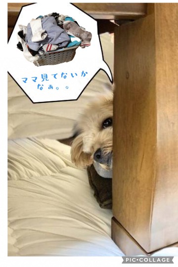 生き物ルーム第46