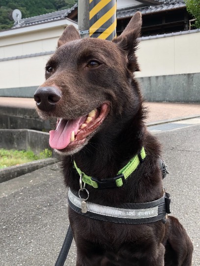 生き物ルーム第46