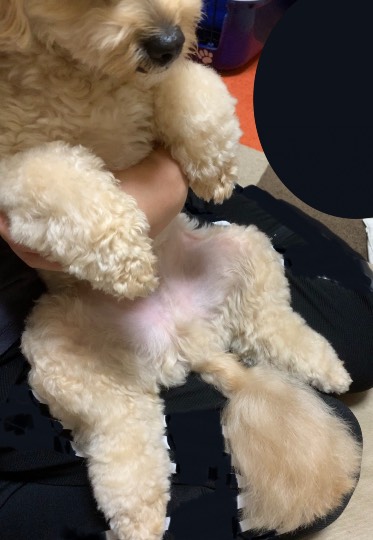 生き物ルーム第46