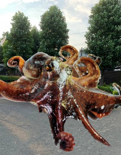 雑談お絵描き部10 画像関係