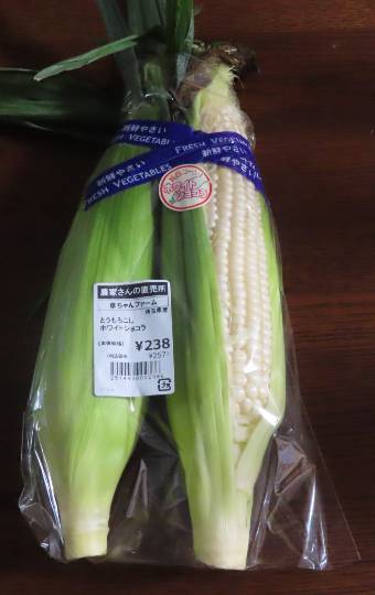 生き物ルーム第46