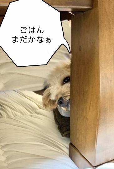 生き物ルーム第46