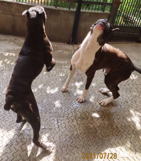 生き物ルーム第47