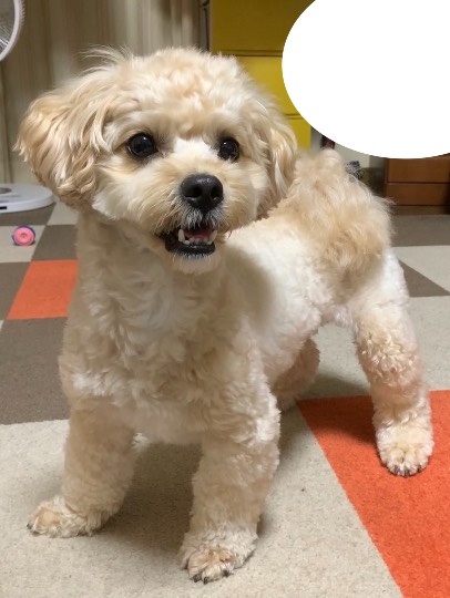 生き物ルーム第46