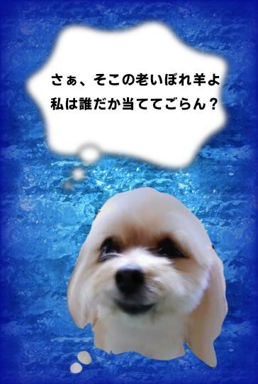 生き物ルーム第46