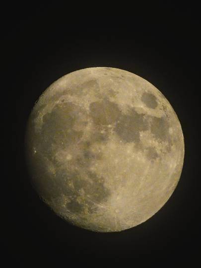 雑談お絵描き部10　画像関係